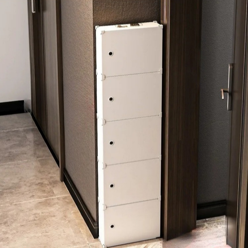 ‌ Étagère à chaussures sans pe - Shoe Rack Cabinet Narrow Entryway avis et prix